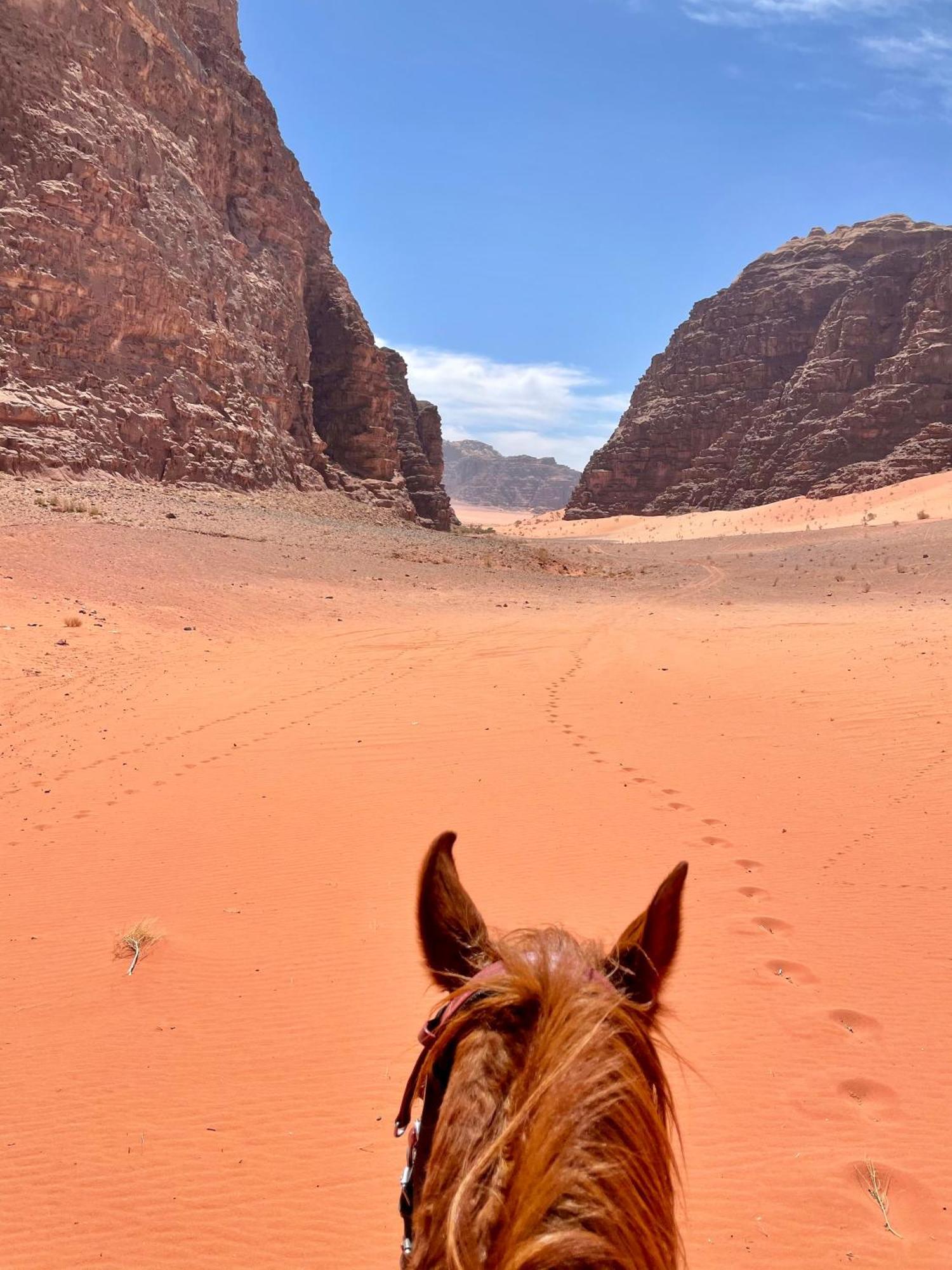 Salameh'S Bedouin Camp Hotel Rum vádi Kültér fotó