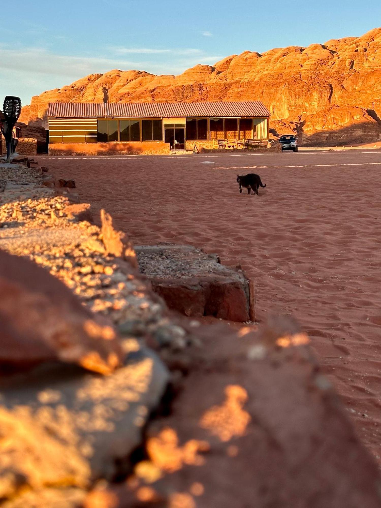 Salameh'S Bedouin Camp Hotel Rum vádi Kültér fotó